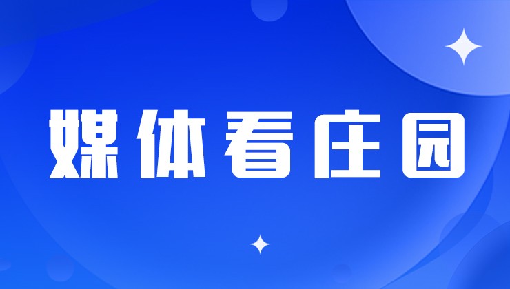 《兰州日报》整版刊登 | AG旗舰厅牧。喊巡分柿可傅焦亲永